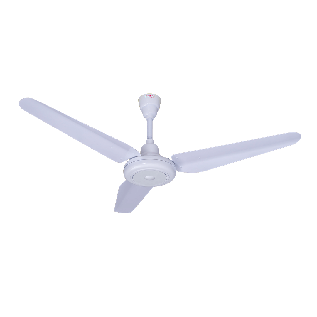 Panaflex Rose White Fan Panaflex Rose White Fan