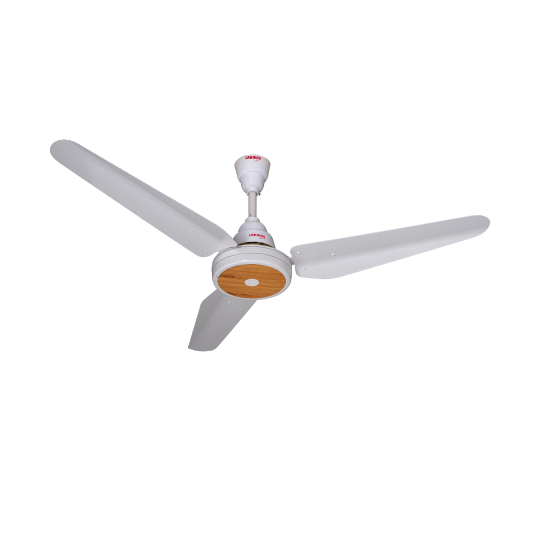 Magnum Fan