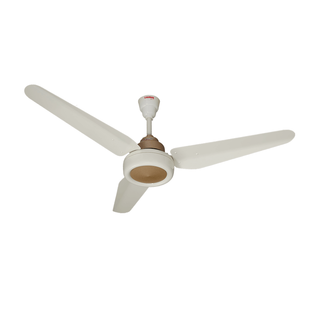 Panaflex Classic Golden
