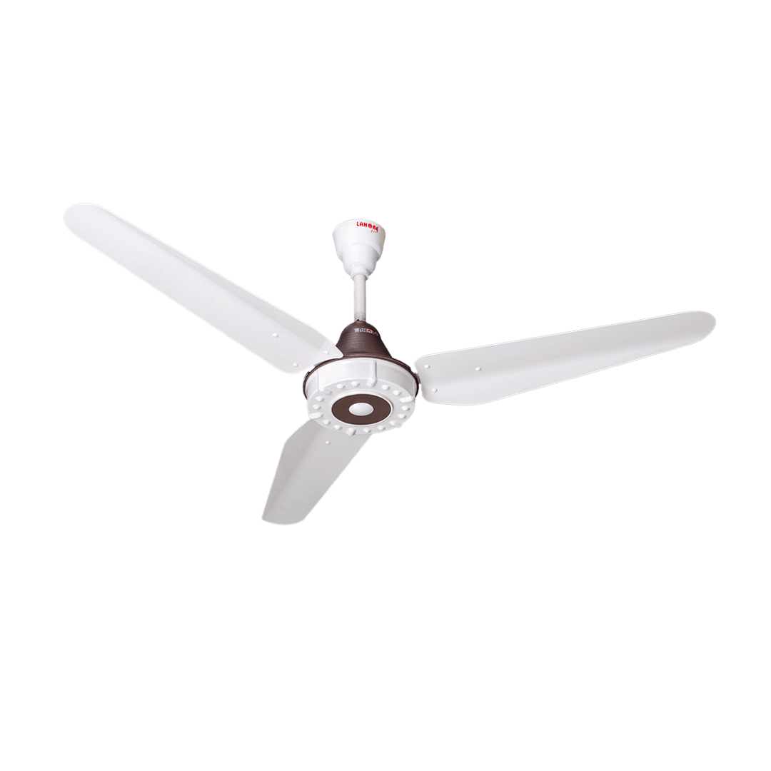 Horizon Brown Fan